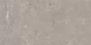 Керамогранит Neeko Taupe Matt 60*120 9мм Керамогранит Neeko Taupe Matt 60*120 9мм