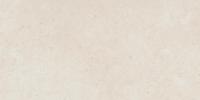 Керамогранит Фоссил Пьюр 60*120 Керамогранит Фоссил Пьюр 60*120