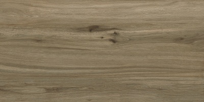 Керамогранит Amazonian Cocoa Plain Glow 60*120