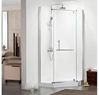 Душевое ограждение трапеция без поддона Arena Pentagon 100(с дугами и аксессуарами)