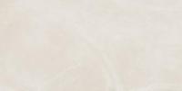 Керамогранит Континуум Полар 60*120 нат.