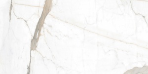 Керамогранит Граните Паллисандро Оро LLR 120*60