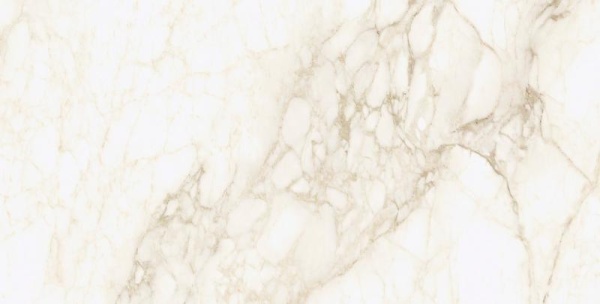 Керамогранит Микеланджело Ворм 60*120 нат. Керамогранит Микеланджело Ворм 60*120 нат.