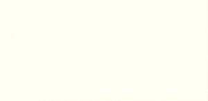 Плитка настенная Верона белый 12*24,5 с противоск. покрытием