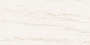Керамогранит Starry Glossy Tiles NKE612SF36 60*120