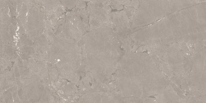 Керамогранит Neeko Taupe Matt 60*120 9мм Керамогранит Neeko Taupe Matt 60*120 9мм