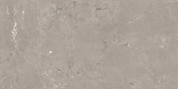 Керамогранит Neeko Taupe Matt 60*120 9мм Керамогранит Neeko Taupe Matt 60*120 9мм