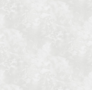 Обои Victoria Stenova Merano, винил на флизелиновой основе, 1,06*10,05м, белый однотон