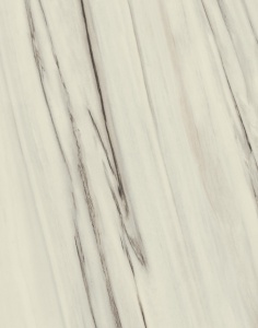 Керамогранит Marvel Bianco Fantastico Lap 120x120