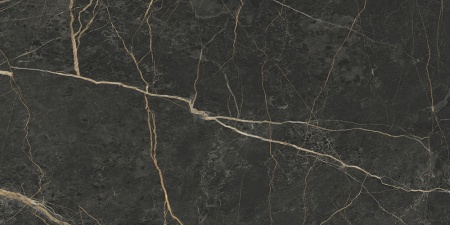 Керамогранит K948089LPR01VTER MarbleS Порт Лорен Лаппато R9 60*120 в Сочи и Адлере