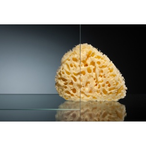 Дверь в душевой проем, профиль хром глянц., стекло прозр. 100 см ЛЕВАЯ, открытие внутрь в Сочи и Адлере