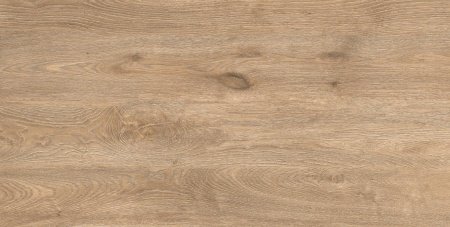 Керамогранит Dreaftwood Maple светлая matt 60*120