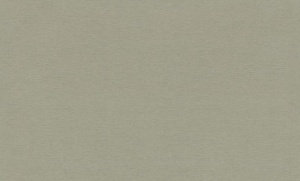 Обои Monte Solaro House, винил на флизелиновой основе, 1,06*10,05м, Коричневый однотон в Сочи и Адлере