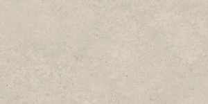 Керамогранит K948098R0001VTER Терра Кремовый Матовый R10A 60*120