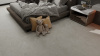 Керамогранит Starry Matt Tiles NKE612XLS29 60*120 в Сочи и Адлере