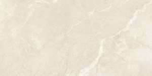 Керамогранит Starry Matt Tiles NKE612XLS27 60*120