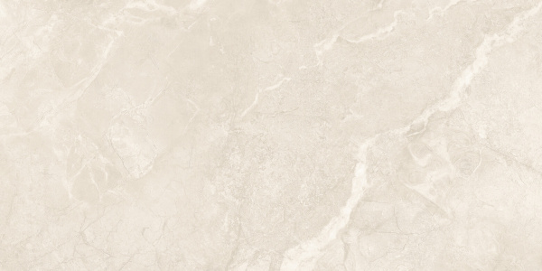 Керамогранит Starry Matt Tiles NKE612XLS27 60*120