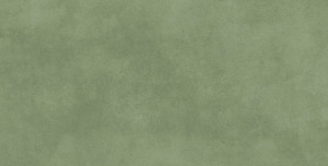 Керамогранит Olive Grove Feel 60*120