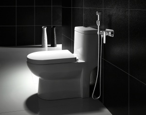 Гигиенический душ со смесителем Lemark Plus Grace LM1519C Хром в Сочи и Адлере Гигиенический душ со смесителем Lemark Plus Grace LM1519C Хром в Сочи и Адлере