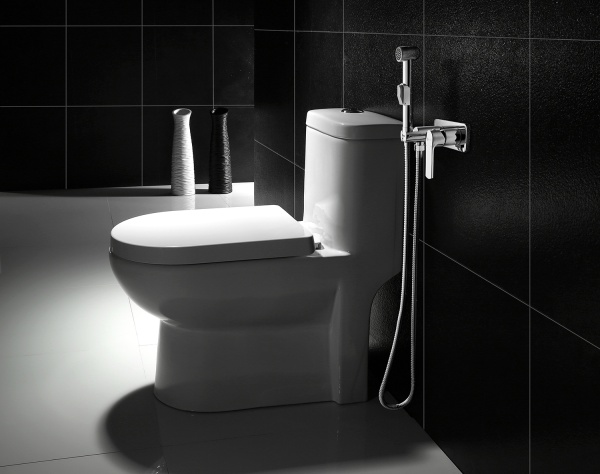 Гигиенический душ со смесителем Lemark Plus Grace LM1519C Хром в Сочи и Адлере Гигиенический душ со смесителем Lemark Plus Grace LM1519C Хром в Сочи и Адлере