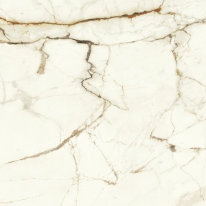 Керамогранит Marvel Calacatta Imperiale 120x120 Matt в Сочи и Адлере