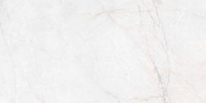 Керамогранит Class Bianco Matt 60*120 9мм Керамогранит Class Bianco Matt 60*120 9мм