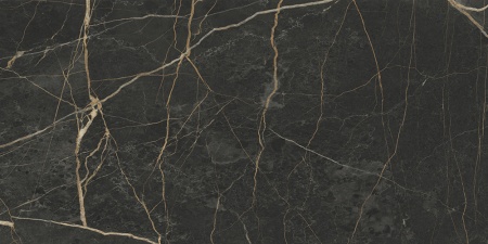 Керамогранит K948089LPR01VTER MarbleS Порт Лорен Лаппато R9 60*120 в Сочи и Адлере