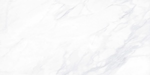 Керамогранит Payer Elegant (неполир., ректиф.) 60*120 в Сочи и Адлере