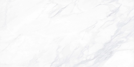 Керамогранит Payer Elegant (неполир., ректиф.) 60*120 в Сочи и Адлере