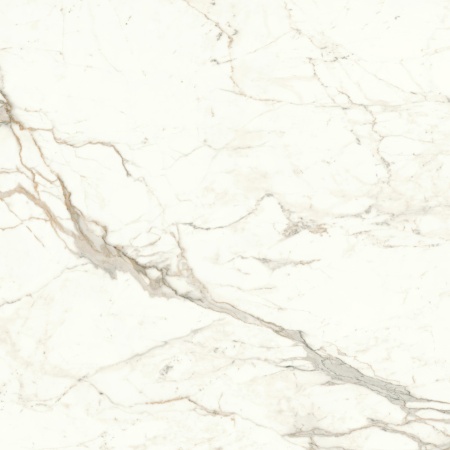 Керамогранит Marvel Calacatta Prestigio 120x120 Lappato в Сочи и Адлере