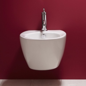 Presqu`ile Биде подвесной 55х38, белое в Сочи и Адлере