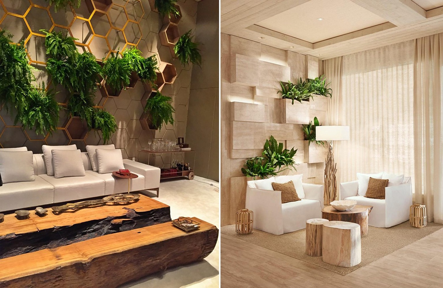 Природа в доме