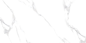 Керамогранит 5020 glossy 60*120* в Сочи и Адлере Керамогранит 5020 glossy 60*120* в Сочи и Адлере