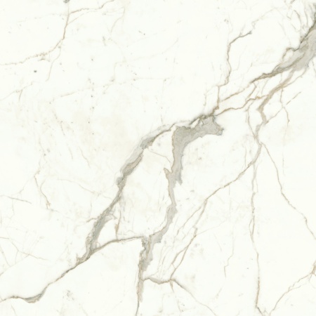 Керамогранит Marvel Calacatta Prestigio 120x120 Lappato в Сочи и Адлере