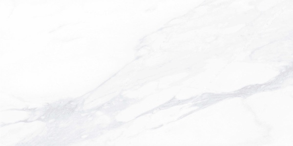 Керамогранит Payer Elegant (неполир., ректиф.) 60*120 в Сочи и Адлере