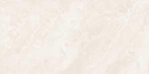 Керамогранит Starry Glossy Tiles NKE612SF48 60*120