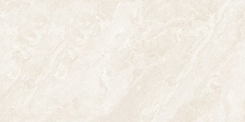 Керамогранит Starry Glossy Tiles NKE612SF48 60*120
