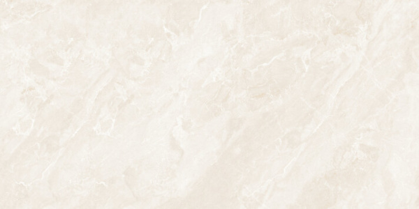 Керамогранит Starry Glossy Tiles NKE612SF48 60*120