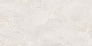 Керамогранит Starry Glossy Tiles NKE612SF38 60*120