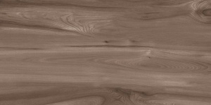 Керамогранит Oak Wood Natural matt 60*120 Керамогранит Oak Wood Natural matt 60*120