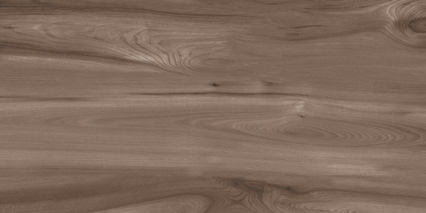 Керамогранит Oak Wood Natural matt 60*120 Керамогранит Oak Wood Natural matt 60*120
