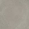 Керамогранит Континуум Айрон 60*60 нат.