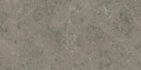 Керамогранит Marvel Meraviglia Grigio Elegante 60x120 Lapp