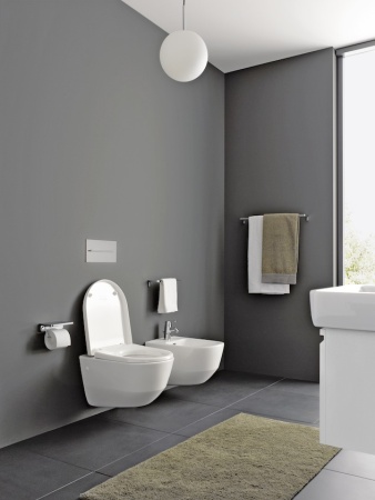 PRO Унитаз подвесной Laufen PRO Rimlless с глубоким смыванием, безободковый (8.2096.6.000.000.1) в Сочи и Адлере