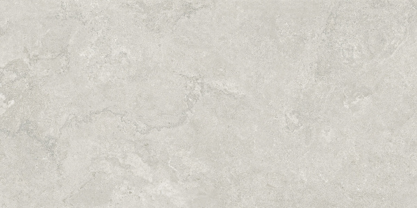 Керамогранит Starry Matt Tiles NKE612XLS29 60*120