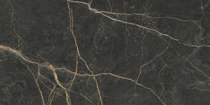 Керамогранит K948089LPR01VTER MarbleS Порт Лорен Лаппато R9 60*120 в Сочи и Адлере