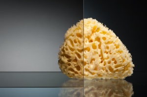 Дверь в душевой проем в Сочи и Адлере