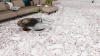 Керамогранит Full Polish Glaze Tiles NKE612LM44 60*120 в Сочи и Адлере