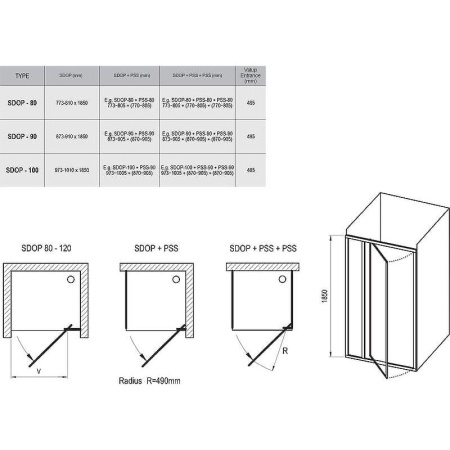 Душевая дверь Supernova SDOP-100 белая + Грапе в Сочи и Адлере