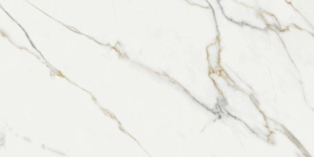 Керамогранит Aston Gold Pul 59x119 в Сочи и Адлере